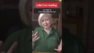collective tarot and oracle card reading
