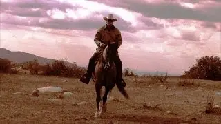Dave Stamey 