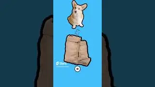 🤣 Mi PERRO en Hogwarts Legacy 🤣