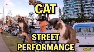 УЛИЧНЫЙ АРТИСТ КЭТ