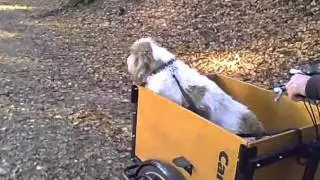 DE BAKFIETS