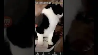 Error ca රt de v&iacute;deos en el mundo
