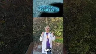 Light Powers the Brain #health #science #shorts
