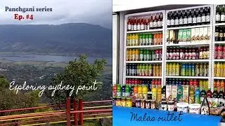 Mesmerising view from Sydney point  | Visiting Malas factory |