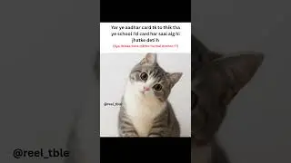#aesthetic #tweetreels #relatable #memes #schoollifememes #collegememes