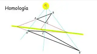 Homología: introducción, elementos, tipos, propiedades. Tutorial de iniciación básico y completo.