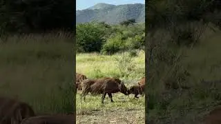 Learning the hard way 😂South Africa
