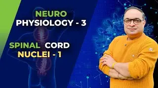 MBBS First Year | Neuro Physiology | Spinal Cord Nuclei - 1 | Dr Sachin Kapur | AIIMS