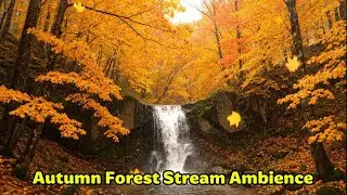 Deep Sleep Music 🍁 Autumn Forest Stream Ambience. #DeepSleepMusic #AutumnForest