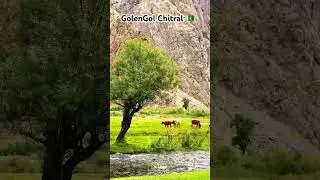 Golengol Chitral #chitral #travel