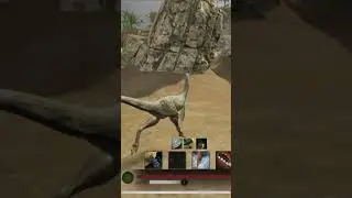 Silly yuty