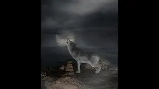 Twin Flames Prescription (Rx) for Healing: Feeling Alone on your Twin Flame Journey? Where's TF?