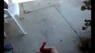 Big Party Snap