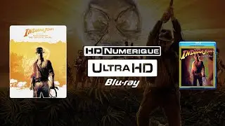 Indiana Jones & Le Royaume du Crâne de Cristal (Kingdom of the Crystal Skull): 4K Ultra HD v Blu-ray