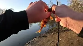 Микро мормо нано джиг   с микро нано рыбами Черная Мамба Tele Ten 150