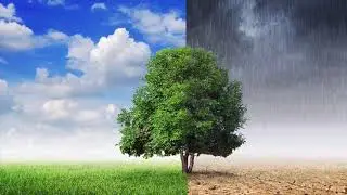 The Science of Weather