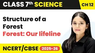 Structure of a Forest - Forest: Our lifeline | Class 7 Science Chapter 12 | CBSE 2025-26
