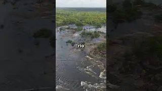 La Curupira el terror del Amazonas #misteriosdelaselva #naturalezasalvaje #selvasdelmundo
