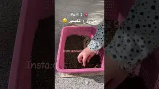 كل يوم بارت واحد  واللي حاب بالتفصيل يروح ل : insta:rosella_positive