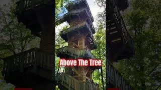 Wooden Bridge Above Trees in Bad Camberg ,Germany.#shorts #entertainment #fyp #germany