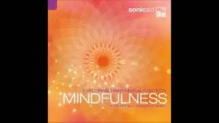 Mindfulness: Exploring Happiness & Positivity [Disc 1] - Steve Wingfield