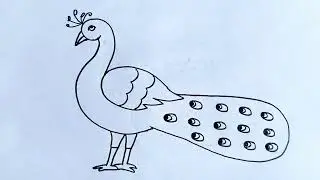 How to draw beautiful peacock/Peacock drawing for beginners/Peacock drawing easy/Peacock ka chitra/