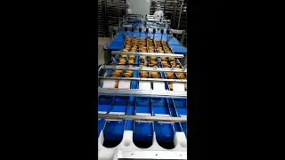 Pastry cake/mooncake auto loading in plastic tray system TEFUDE automation packaging
