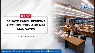 LIVE: Senate Panel Reviews Rice Industry and NFA Mandates | 15 October 2025