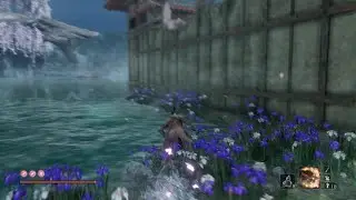 Sekiro best xp farm 2025 2k under 30seconds