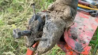 Cow Hoof Rescue: Expert Hoof Care, Screw Nail Removal & Injury Treatment for Farm Animals