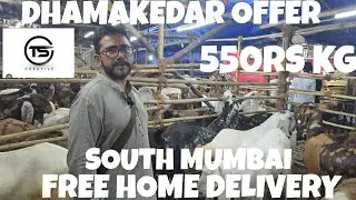 DHAMAKEDAR OFFER 550RS KG GOAT WITH FREE HOME DELIVERY  AT AL-BURRAQ GOAT GARM MAZGAON(SOUTH MUMBAI)