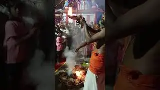 வராஹி முதல் வருடம் பூர்த்தி #viral