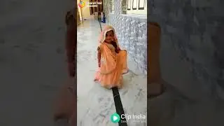 Hajs