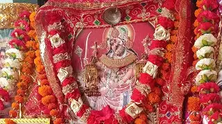 🚩🌺🌹दो हार बनाए सारी रात हार किदे गल पावां#chandadhimanmusic#newbhajan  #jaimatadistatus
