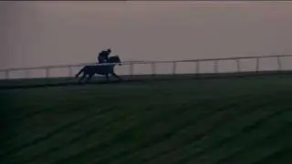 RACING POST YEARLING BONUS
