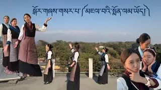 New Tibetan Gorshey ༼མཇལ་བའི་སྨོན་ལམ་ཡོད་༽@Heisyema #newtibetangorshey #trending 