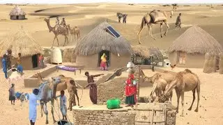 Village life Camel working Evening Time A Rehman TV #youtubechannel #vlogviralvideo