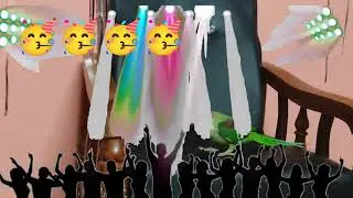 Parrot funny happy 🦜😍🎂🎉 birthday party || mithu birthday pyaratotamithu #parrot