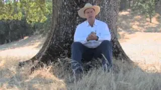 Big Sur Land Trust - Conservation