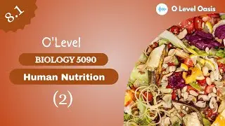Diseases and Deficiencies | Human Nutrition| Chapter 8 | Unit 8.1 | Diet