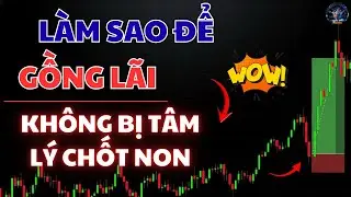ĐÂY LÀ THỜI GIAN BẠN CẦN ĐỂ TRADE CÓ LỢI NHUẬN – ĐỪNG ẢO TƯỞNG GIÀU NHANH NỮA | DUY NGUYÊN KTOL