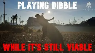 Playing Dibble While It's Still Viable