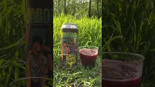 Berliner Weisse - SOUR HABIT - пивоварня SABOTAGE #shorts #пиво #алкополка