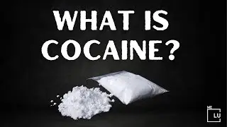What Is Cocaine? How Is Cocaine Made? Is Cocaine Addictive? 'Coke' Side Effects. (561) 678-0917