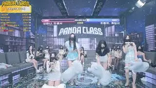 📢【KBJBA】【pandaclass】【jinricp】【韓國女團直播秀】 #kpopidol #livestream #girlgroup #fancam