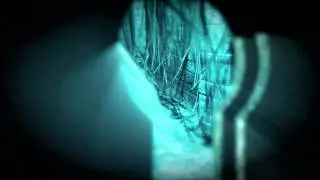 Raptr - Mantle - Thief - AMD TrueAudio - 60fps