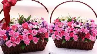 Dang lam lam lam Dang lam 719084