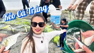 Kéo Cá Trứng | Ngủ Trên Xe Nhà Di Động 🚚 Tự Nấu Ăn Trong Rừng Hoang 