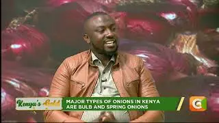 | Kenya's Gold | Onion farming in Kenya | Gold Chat | Part 1