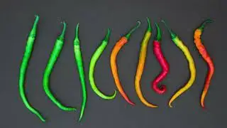 Loading Chilli Pepper Screen Waiting Load Motion Green Screen Alfa || No Copyright Free Download